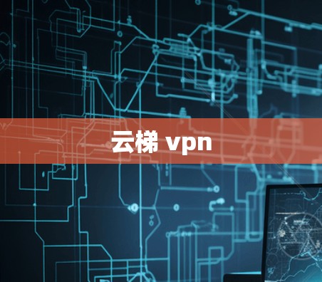 云梯 vpn