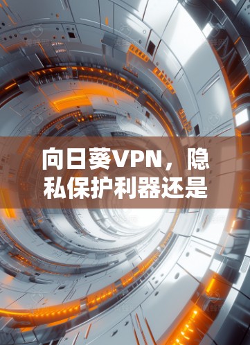 向日葵VPN，隐私保护利器还是网络安全隐忧？