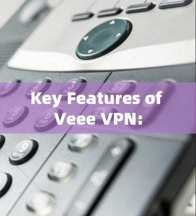 Key Features of Veee VPN: