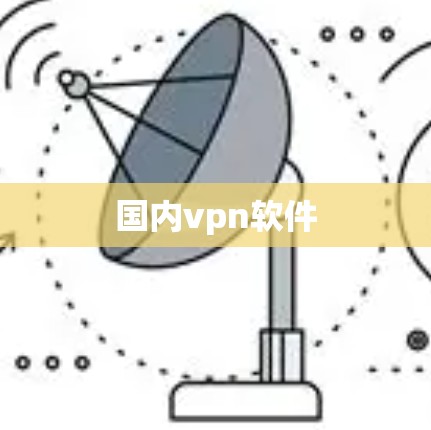 国内vpn软件